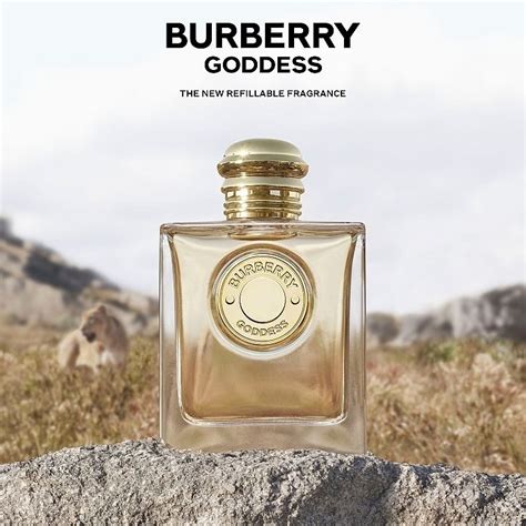 burberry goddess perfume fragrantica|what does burberry smell like.